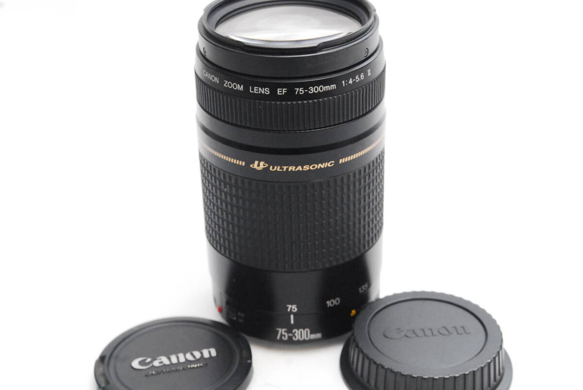Canon EF 75-300mm Lens f⁄4-5.6 III Zoom Telephoto - USM IS com 