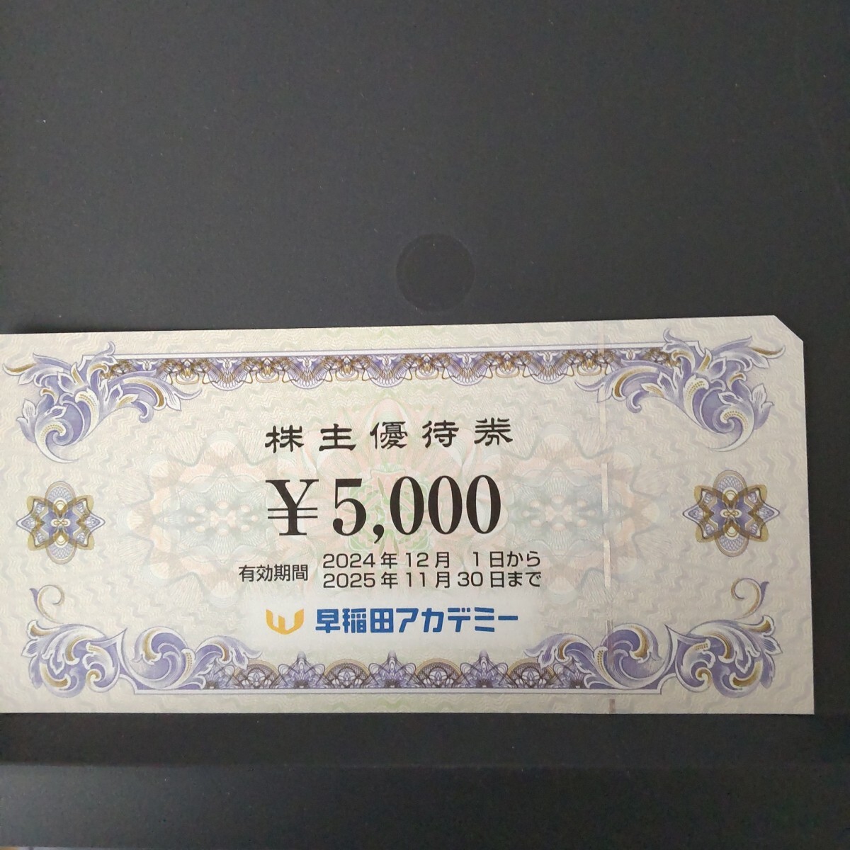 大人気の正規通販 早稲田アカデミー 株主優待券 【公式通販】