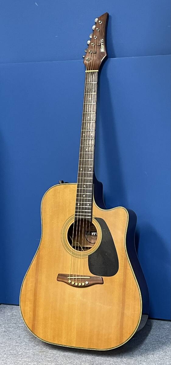 Morris MORRIS アコギ TF W-50 モーリス アコースティックギター 公式