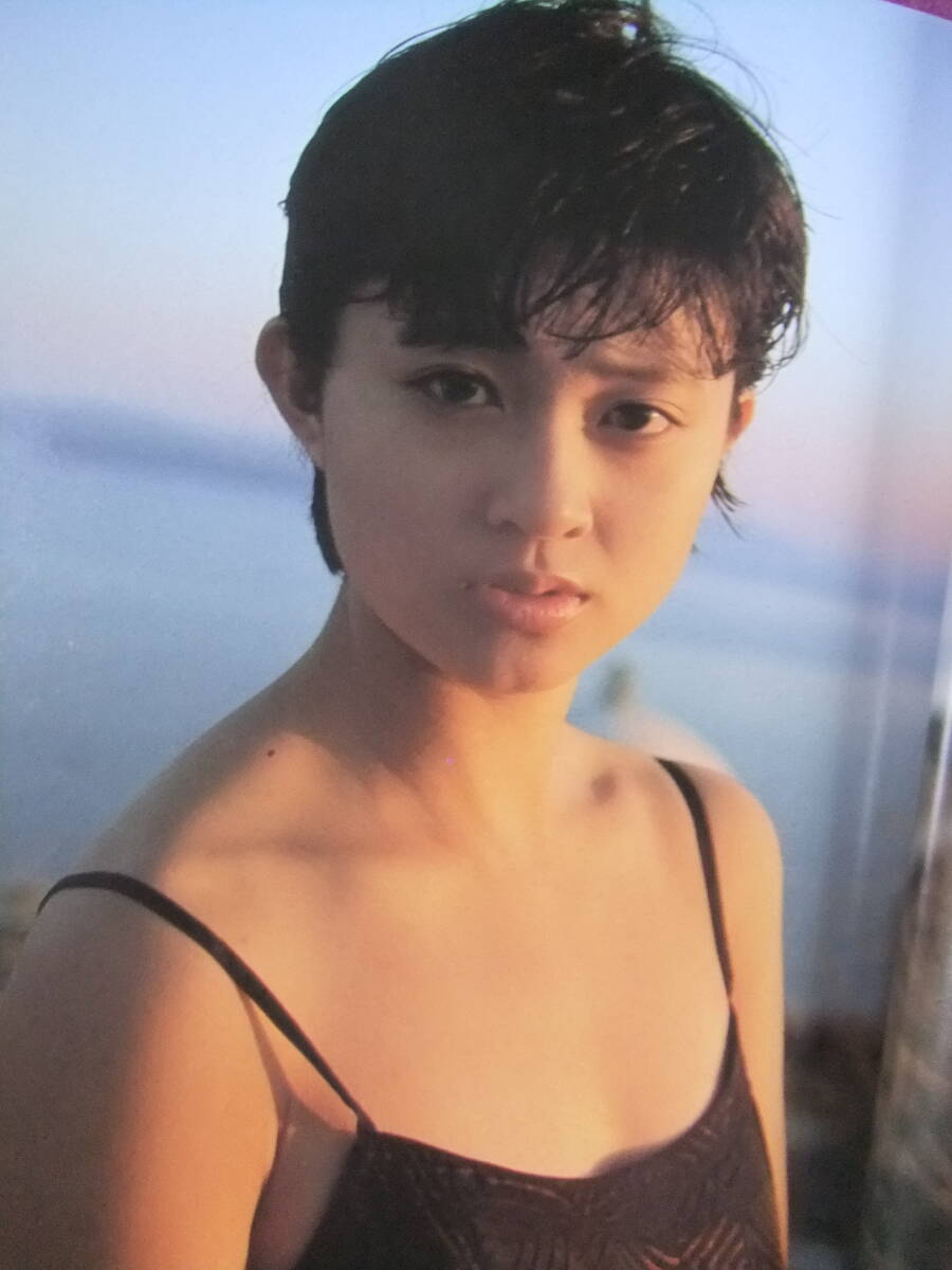 ☆B1100/☆『水着写真集』☆/松本典子写真集「まっ赤に直射」/1987.6.5
