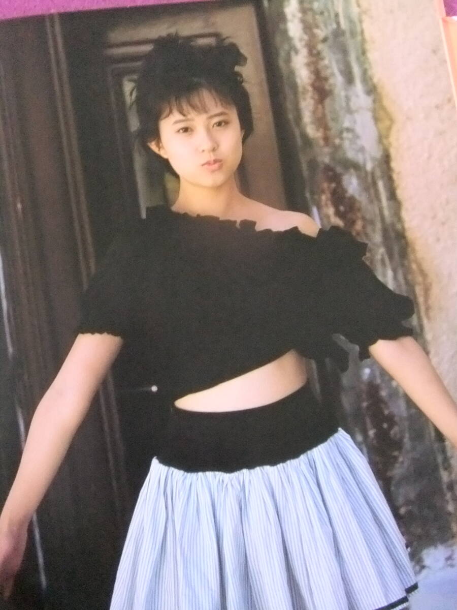 ☆B1100/☆『水着写真集』☆/松本典子写真集「まっ赤に直射」/1987.6.5