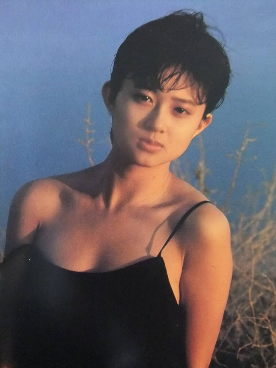 ☆B1100/☆『水着写真集』☆/松本典子写真集「まっ赤に直射」/1987.6.5