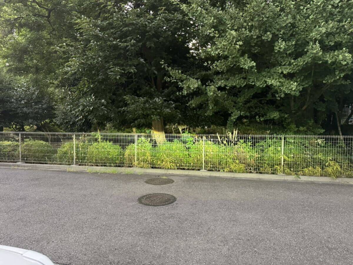 ハイラックス後期　ヘッドライト　レベライザー_2