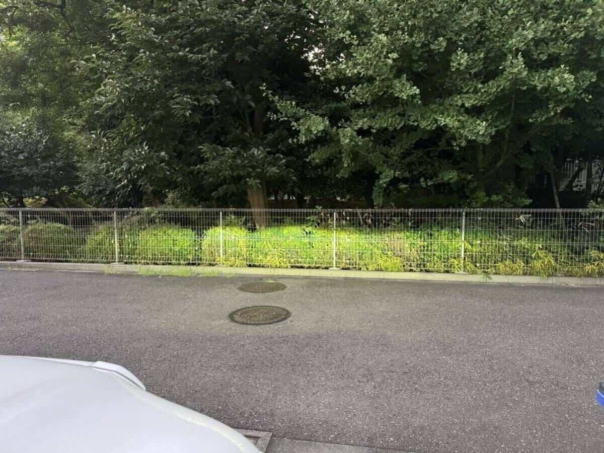 ハイラックス後期　ヘッドライト　レベライザー_3