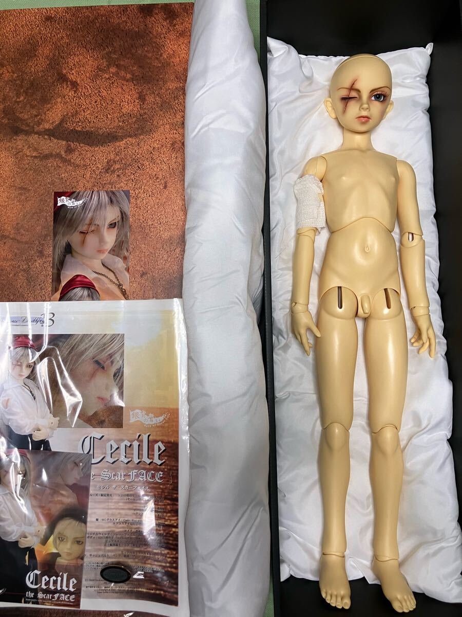 ボークス　SD13　セシル　ザ・スカーフェイス　銀貨の誓い　本体のみ_5