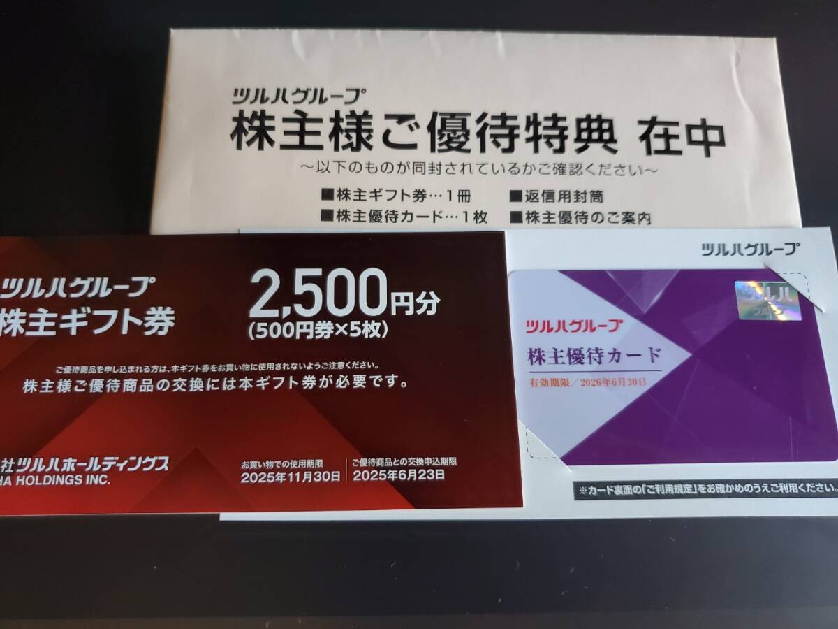 ツルハグループ 株主優待カード+優待券2500円_1