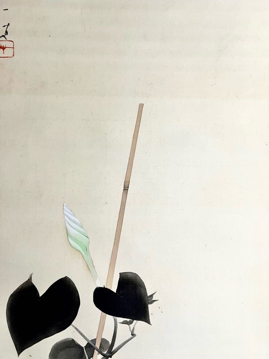 真作】【S8】阪口一草「朝顔」絹本 肉筆 合箱 花鳥図 茶掛け 絵画 掛軸