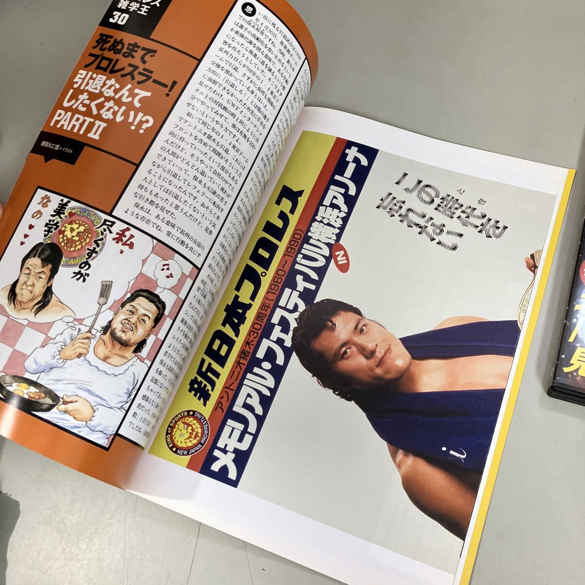 燃えろ 新日本プロレス 至高の名勝負コレクション DVD Vol.30 集英社
