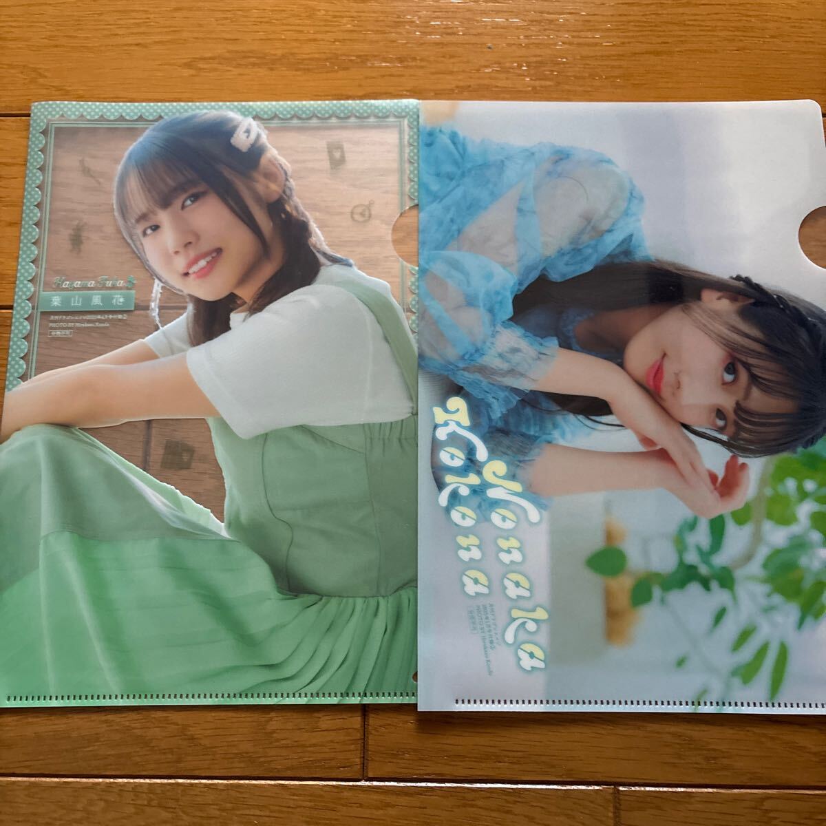 クリアファイル 8枚セット グラビアアイドル 直田姫奈 林鼓子 野中ここ 