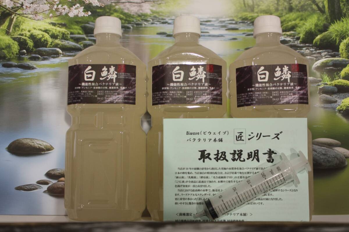 バクテリア本舗の情報