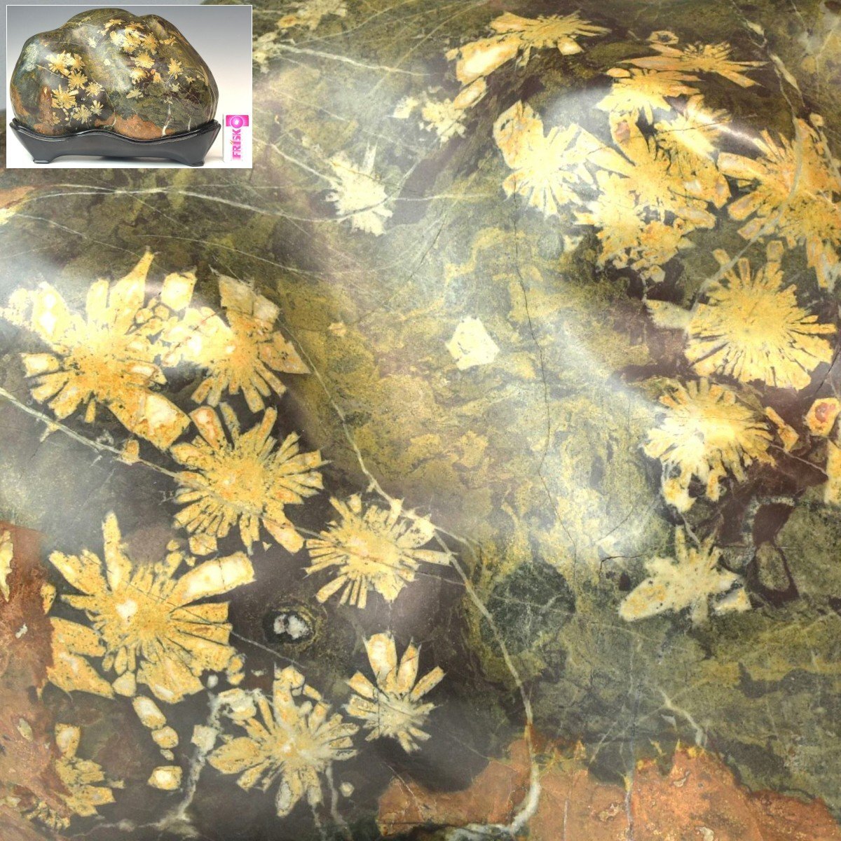 菊花石の値段と価格推移は？｜140件の売買データから菊花石の価値が