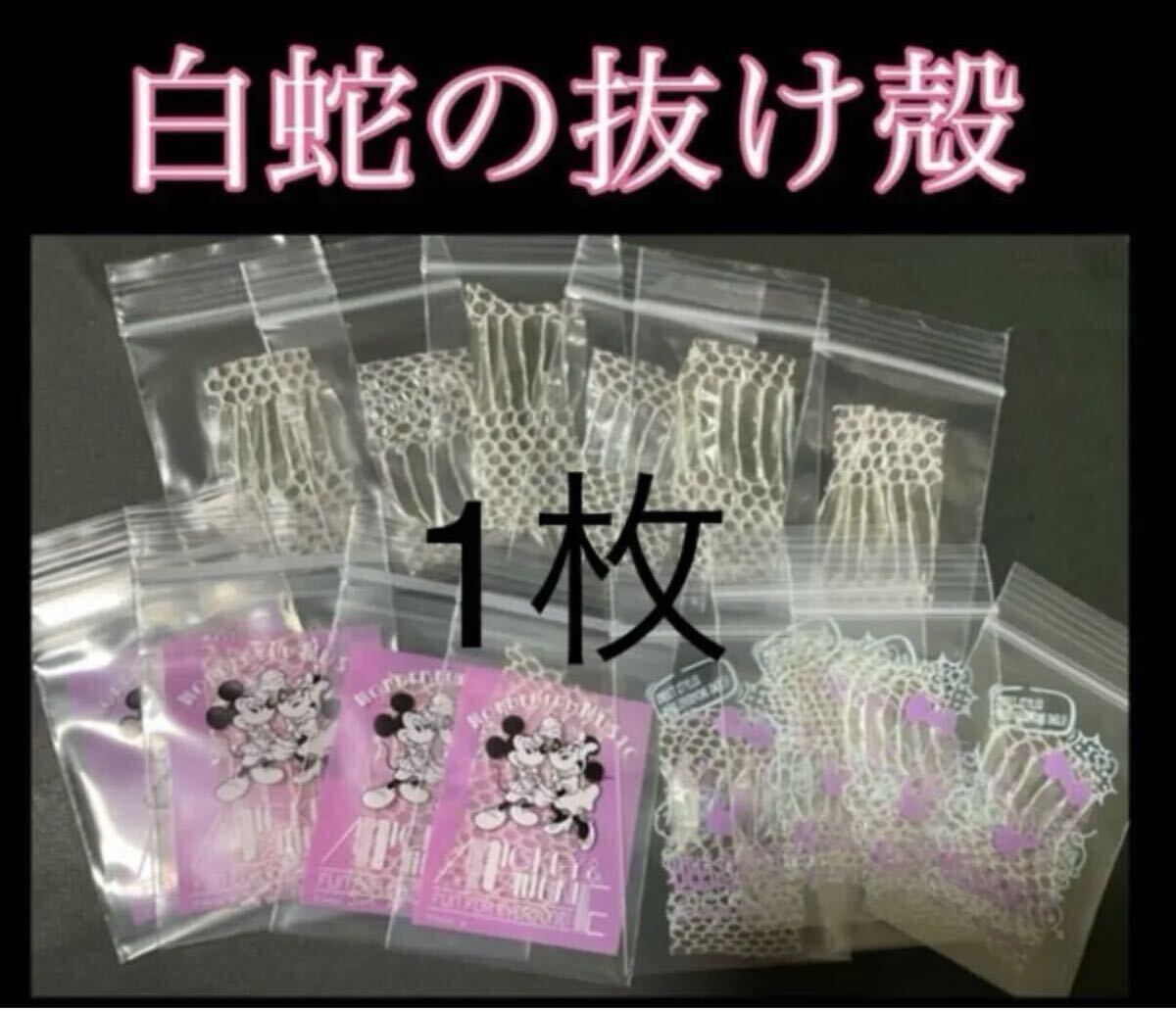 蛇の抜け殻の値段と価格推移は？｜9件の売買データから蛇の抜け殻の