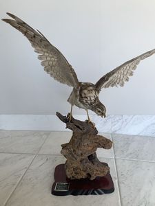 剥製 鷹の値段と価格推移は？｜3件の売買データから剥製 鷹の価値が