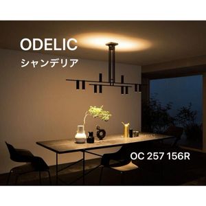 オーデリック シャンデリアの値段と価格推移は？｜4件の売買データから 