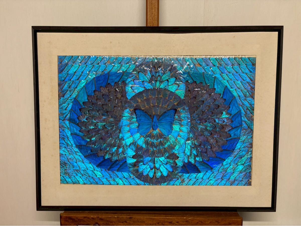 蝶 羽 アートの値段と価格推移は？｜1件の売買データから蝶 羽 アート