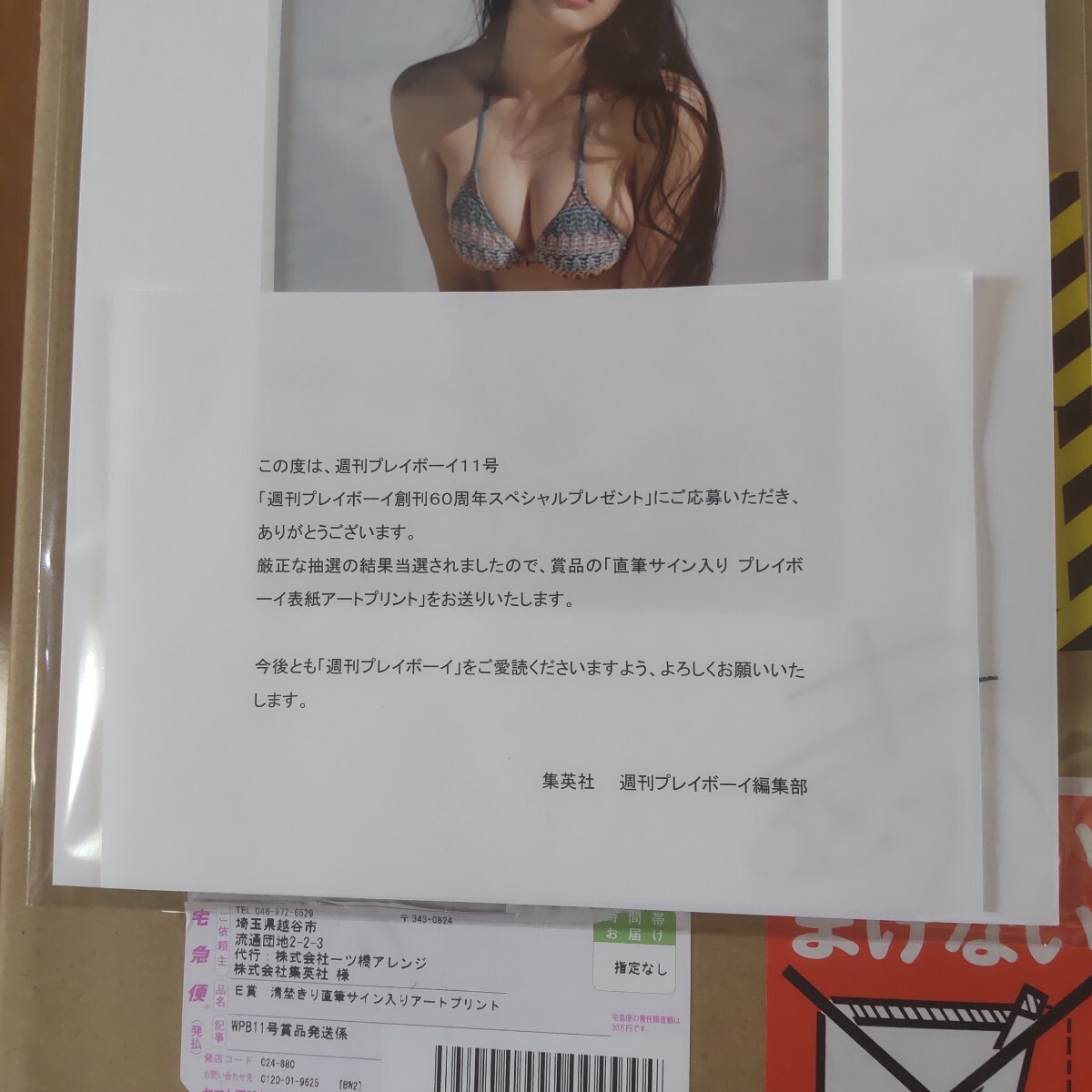 清埜きり 週刊プレイボーイ 直筆サイン入り表紙アートプリント 抽選