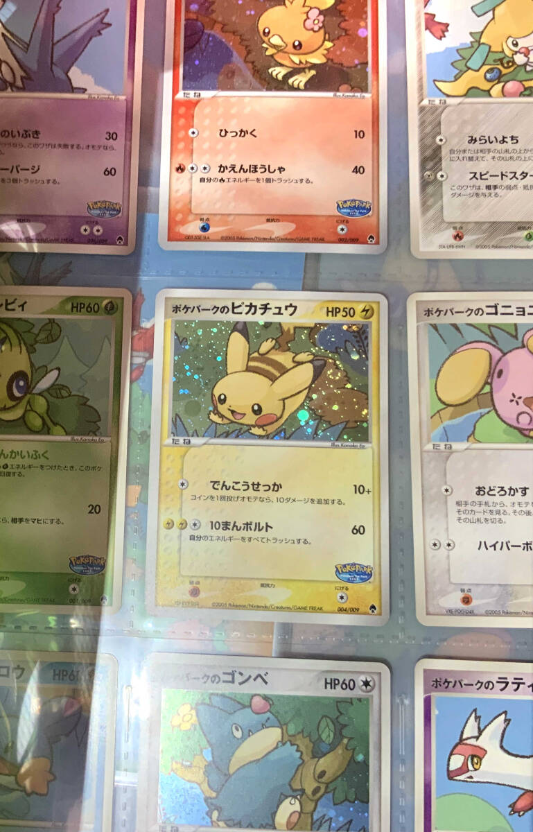 ポケモンカードゲーム 『ポケパーク プレミアムファイル フォレスト