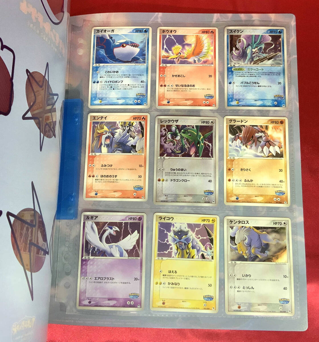 ポケモンカードゲーム 『ポケパーク プレミアムファイル フォレスト
