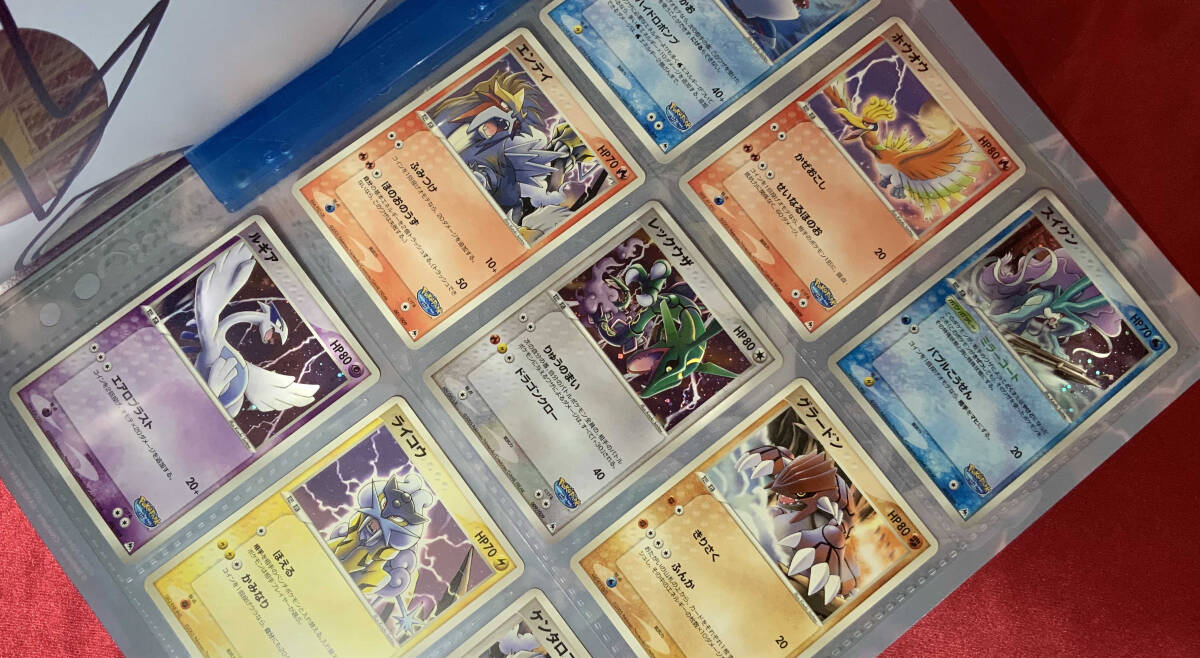 ポケモンカードゲーム 『ポケパーク プレミアムファイル フォレスト