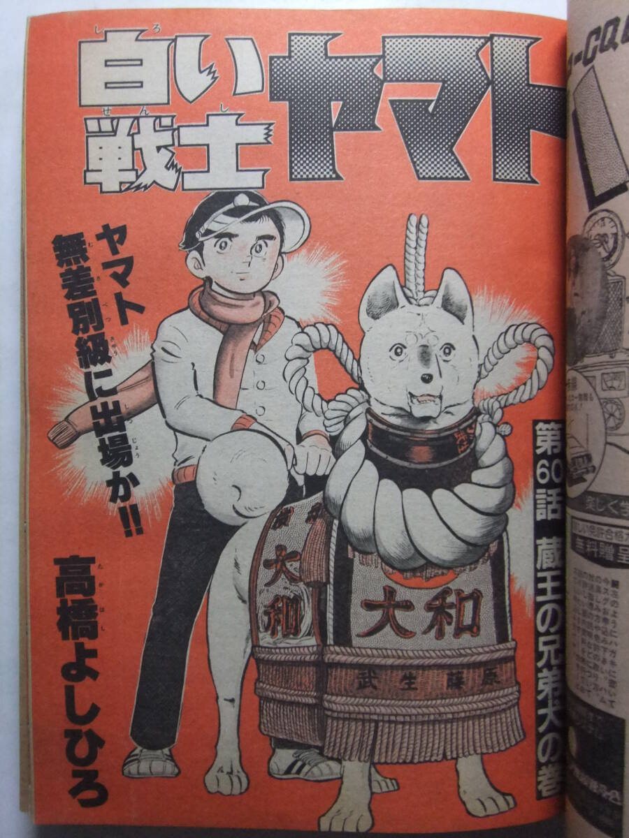 月刊少年ジャンプ　1981年1月号〜12月号　1年分全12冊揃いセット② W-4332☆ 1981年 月刊少年ジャンプ 1月号 ☆新連載まぼろしパンティ