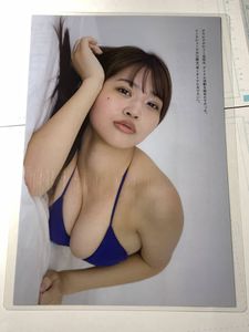 南みゆかのYahoo!オークション(旧ヤフオク!)の相場・価格を見る｜Yahoo