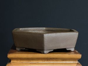 行山 鉢のYahoo!オークション(旧ヤフオク!)の相場・価格を見る｜Yahoo