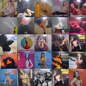 ヌード ジャケのYahoo!オークション(旧ヤフオク!)の相場・価格を見る