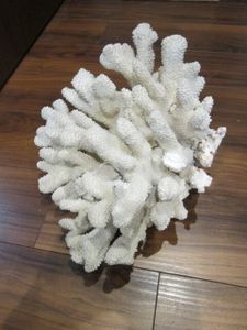 白珊瑚置物の値段と価格推移は？｜4件の売買データから白珊瑚置物の