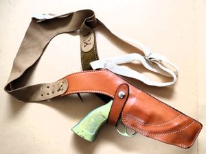 サファリランドの値段と価格推移は？｜315件の売買データからサファリ