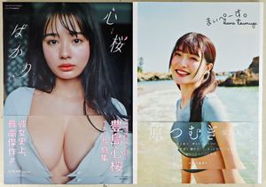 豊島心桜の値段と価格推移は？｜772件の売買データから豊島心桜の価値