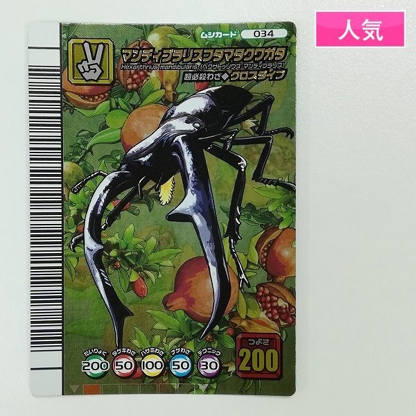ムシキング マンディブラリスフタマタクワガタの値段と価格推移は？｜5