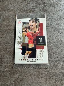 山田二千華の値段と価格推移は？｜49件の売買データから山田二千華の