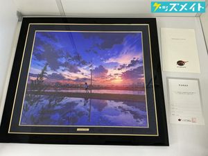 mochaの値段と価格推移は？｜209件の売買データからmochaの価値が
