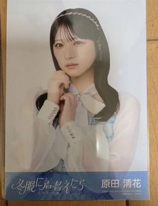 原田清花の値段と価格推移は？｜4件の売買データから原田清花の価値が