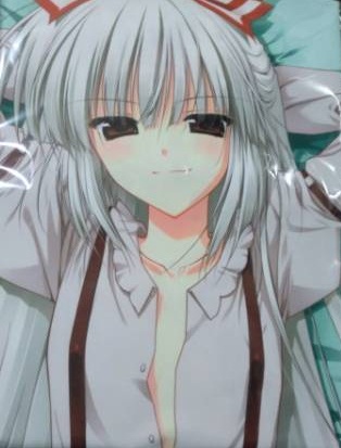 コミケ79 いつものところ もこたん抱き枕カバー 藤原妹紅東方c79 その他 売買されたオークション情報 Yahooの商品情報をアーカイブ公開 オークファン Aucfan Com