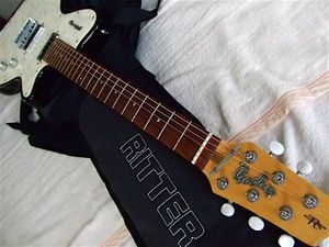 Godin Radiator ゴダン ラジエーター エレキギター with Ritter(本体 