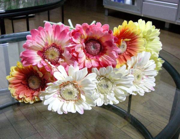 ガーベラ直径11ｃｍ、高さ55ｃｍが11本_1