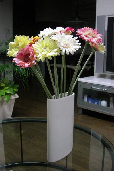 ガーベラ直径11ｃｍ、高さ55ｃｍが11本_3