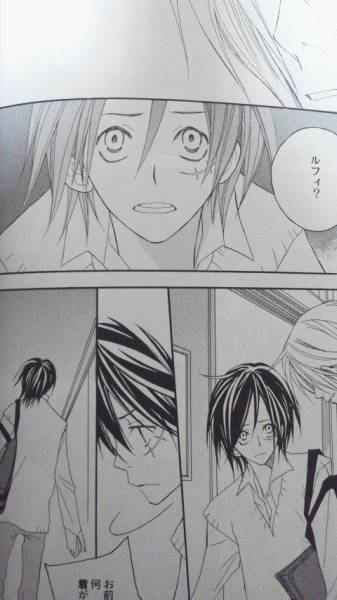 ワンピ 最終兵器彼氏 サンル現代パロ Mario ラジャラジャ One Piece 売買されたオークション情報 Yahooの商品情報をアーカイブ公開 オークファン Aucfan Com