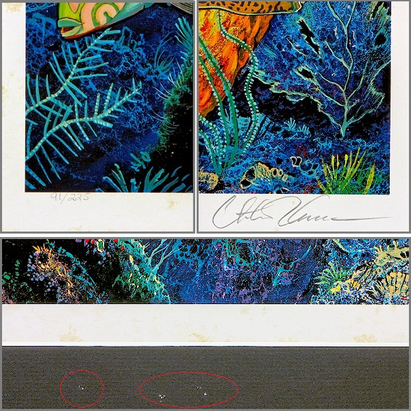 ラッセン 初期作品を早い者勝ち 版画 ハワイ 海 魚 絵画(石版画 
