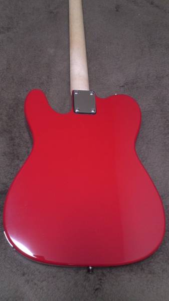 テレキャスター シンライン アーム付き 美品_3