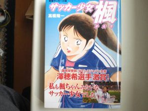 12年11月 筆 楓のヤフオク の相場 価格を見る ヤフオク の筆 楓のオークション売買情報は35件が掲載されています