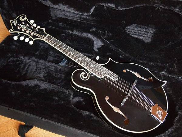 \1～The Loar ロアー LM600BK F5-styleフラット・マンドリン_1