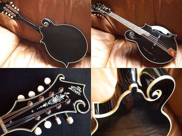 \1～The Loar ロアー LM600BK F5-styleフラット・マンドリン_2