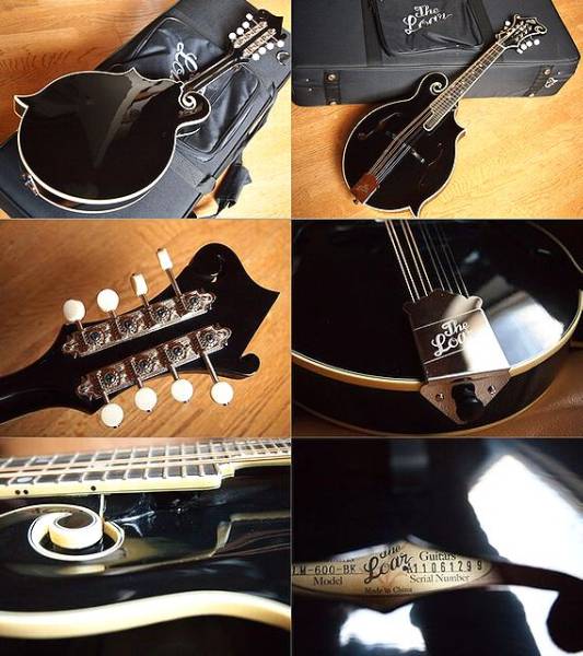 \1～The Loar ロアー LM600BK F5-styleフラット・マンドリン_3