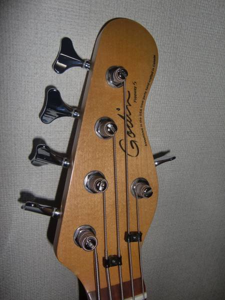 美品 激レア GODIN Freeway 5 ゴダン 5弦ベース(エレキベース本体 