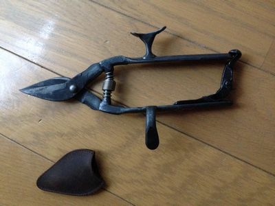 Tajika Garden Clipperバリカンズコラボ