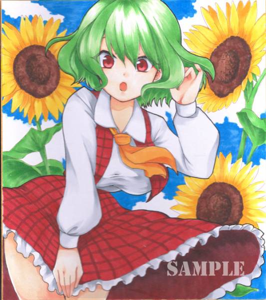 同人手描きイラスト 東方Project「風見幽香」(手描きイラスト)｜売買