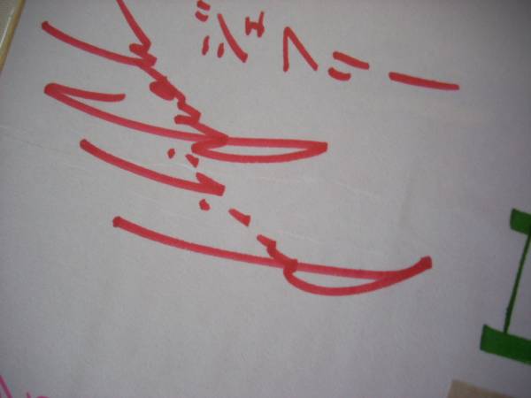 松岡なつき Flesh Blood 18 サイン色紙 福山潤 諏訪部順一他 サイン 直筆画 売買されたオークション情報 Yahooの商品情報をアーカイブ公開 オークファン Aucfan Com