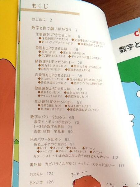 開運カピバラさん占い シウマ 数字占い 数秘 雑誌本 美本 風水 売買されたオークション情報 Yahooの商品情報をアーカイブ公開 オークファン Aucfan Com